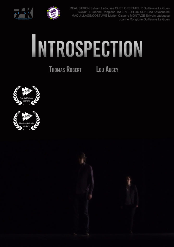 Introspection