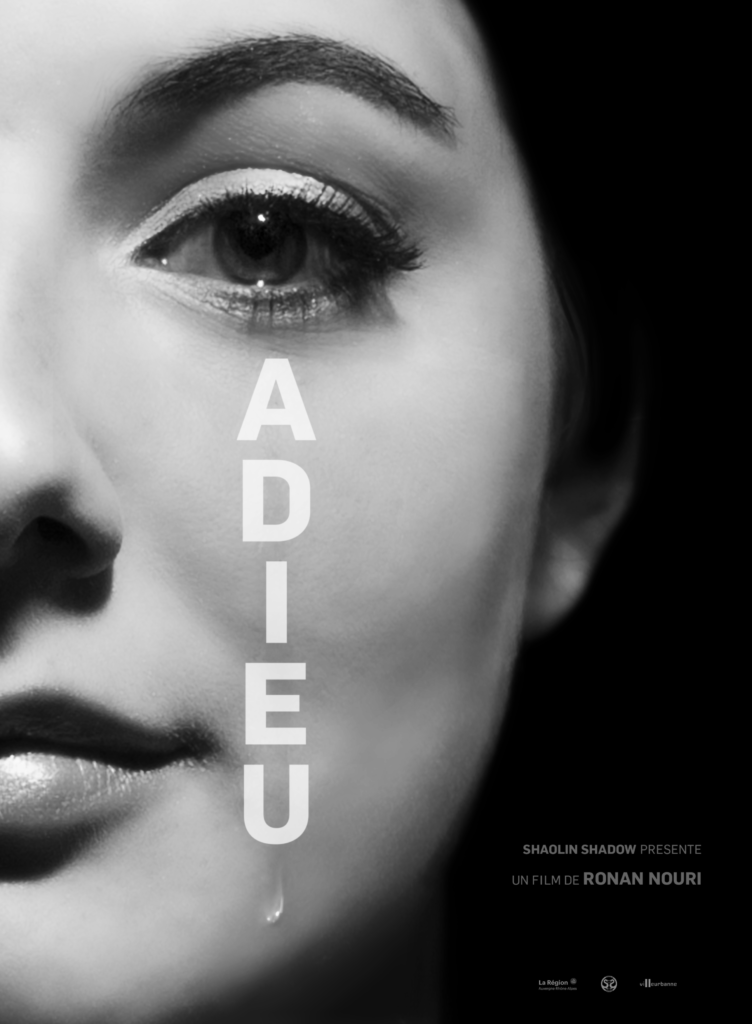 adieu-cinemads