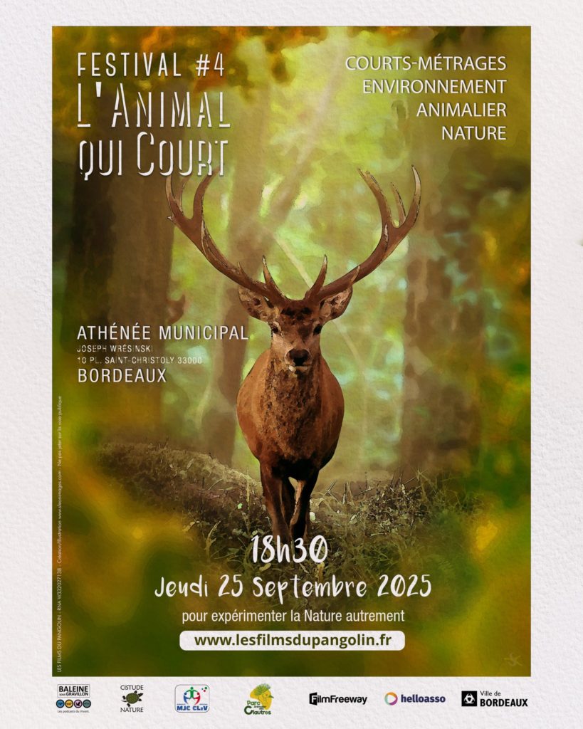 L’Animal qui Court