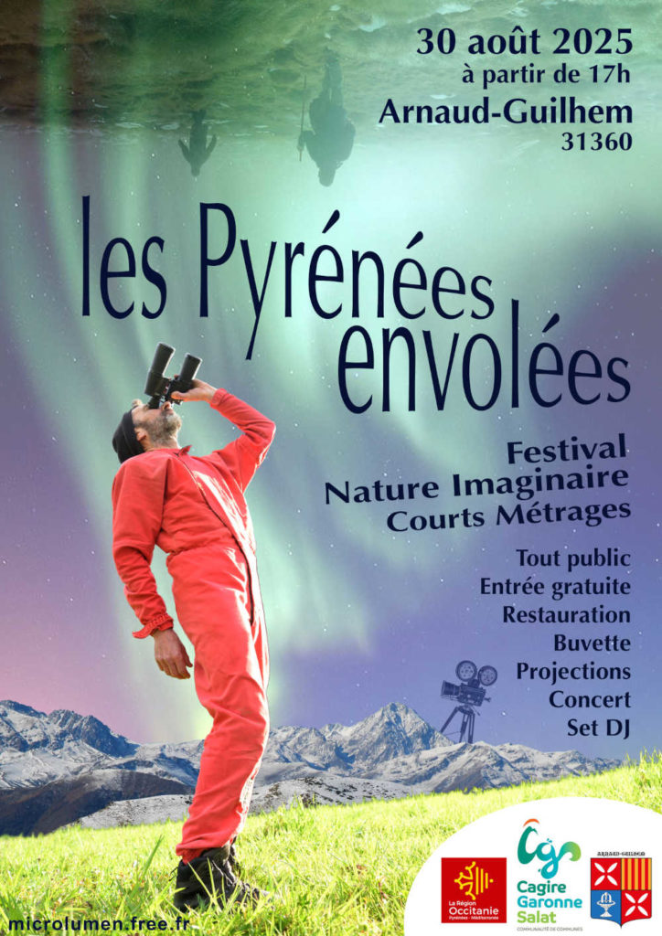 Les Pyrénées envolées