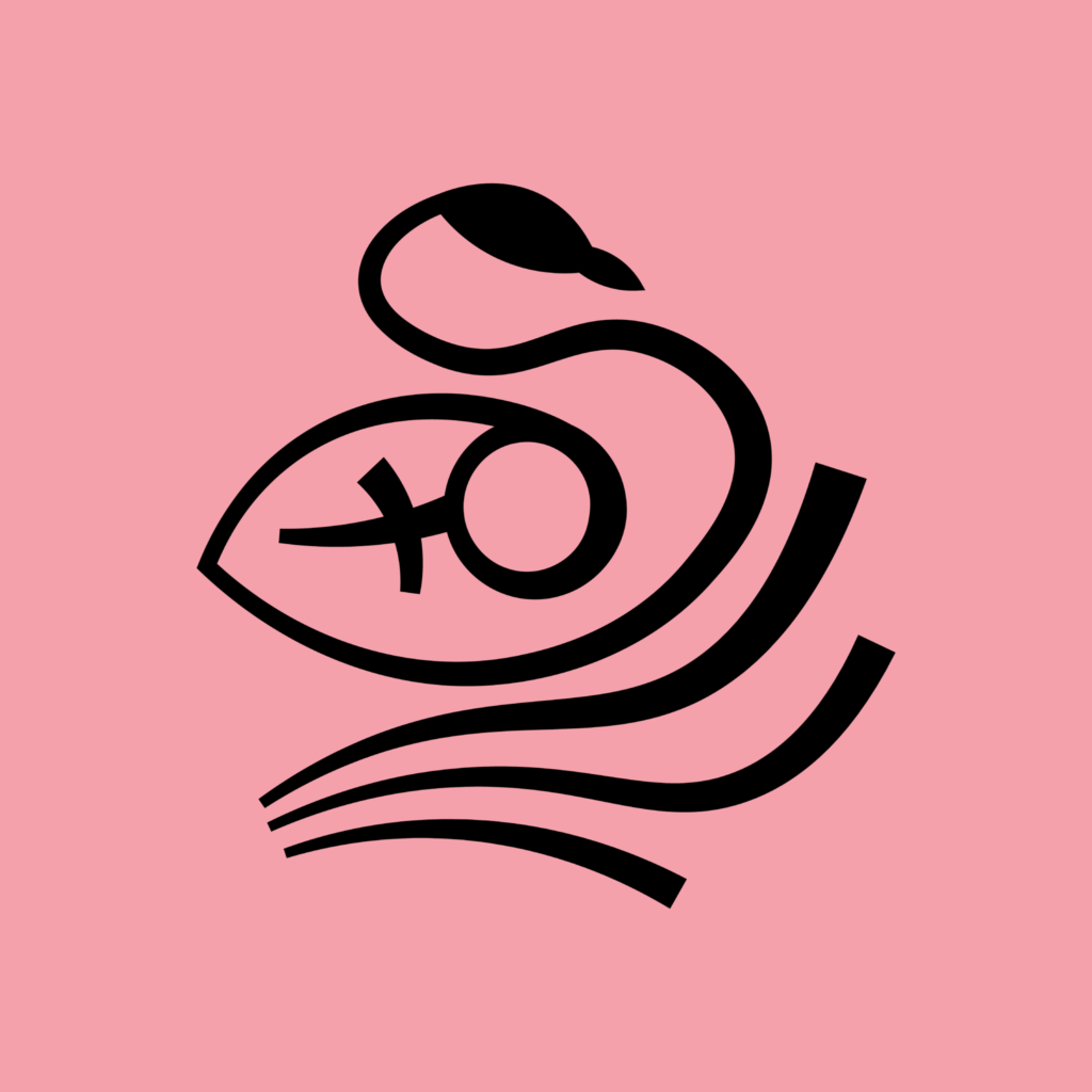 SWAN Perth International Women in Film Festival